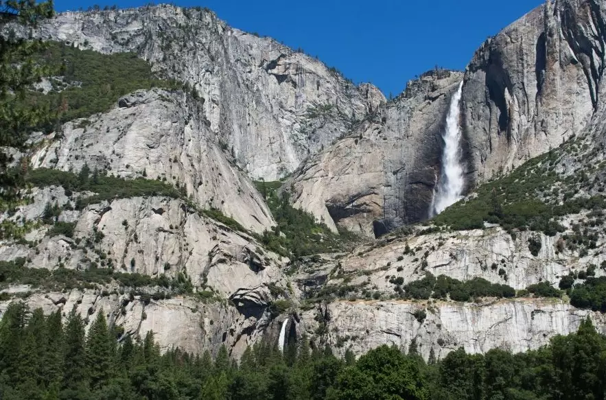 wildlife safety tips wildlife safety tips