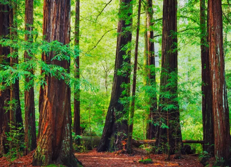 planning national park trip