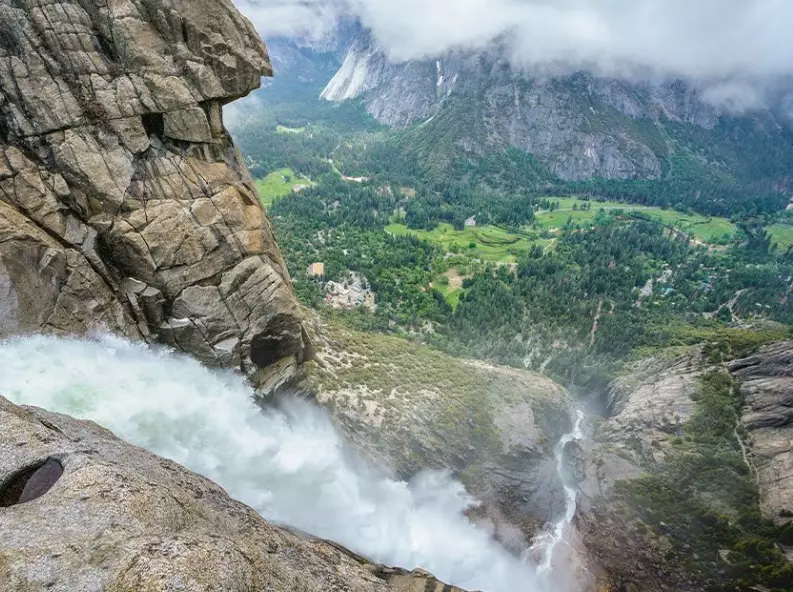 wildlife safety tips wildlife safety tips