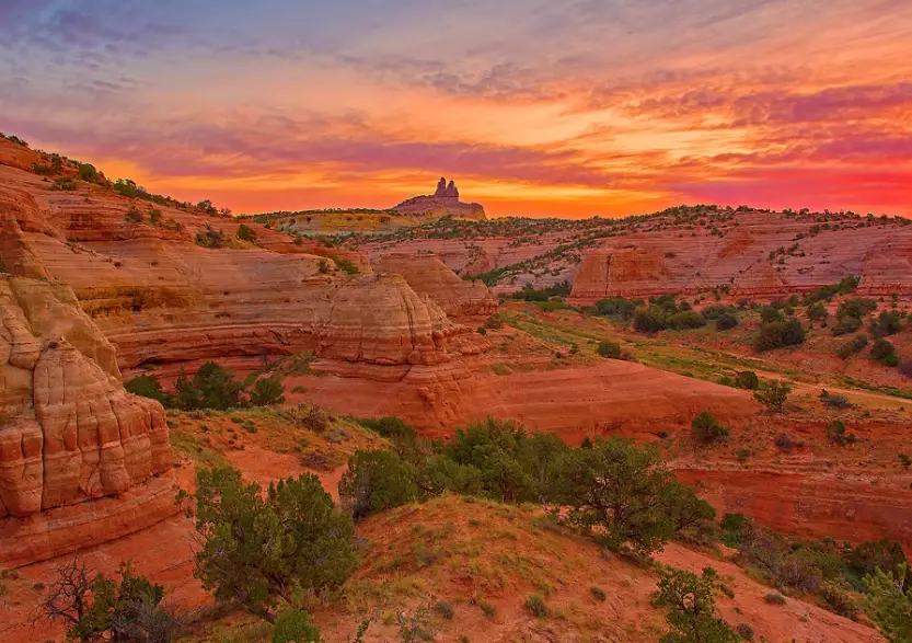 Petrified Forest National Park