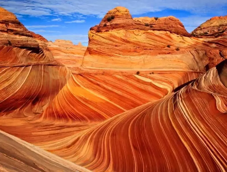 Saguaro National Park