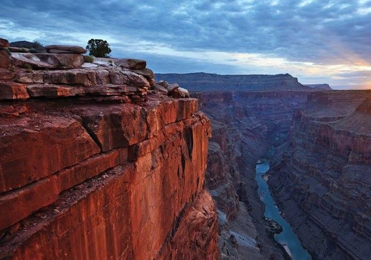 Saguaro National Park