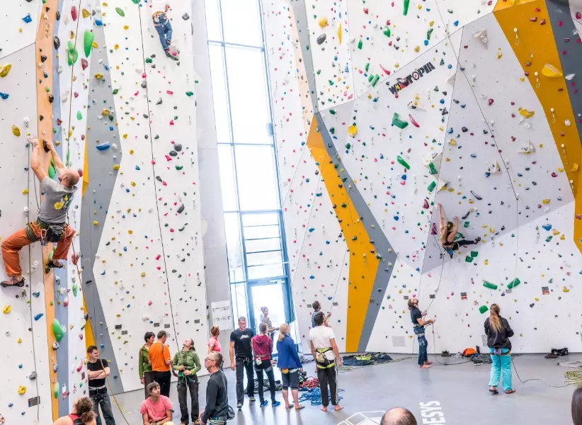 Master Indoor Mountain Climbing: A Complete Guide to Bouldering & Top-Roping