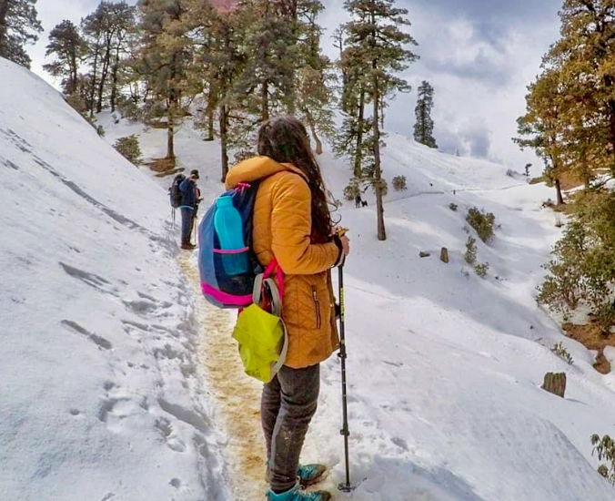 trekking vs hiking difference trekking vs hiking difference