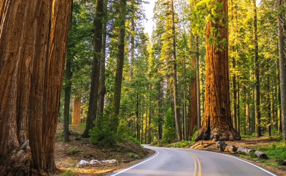 budget national park trips