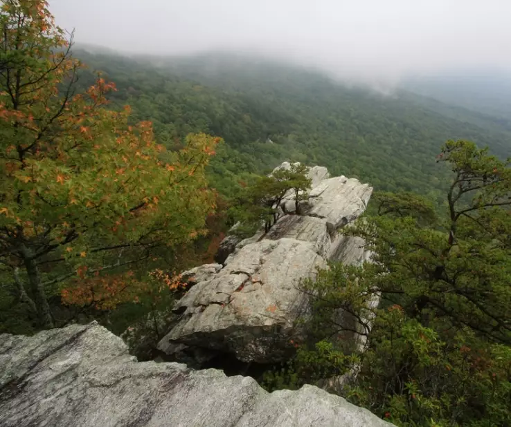 Yes, Alabama Has Amazing Hiking Trails: A Local's Guide