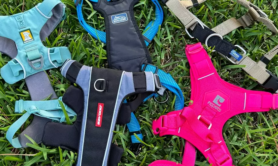 dog harness