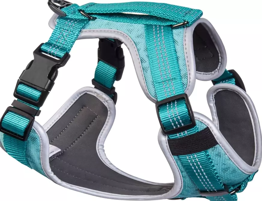 best dog harness