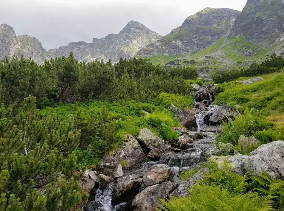 how to start hiking how to start hiking