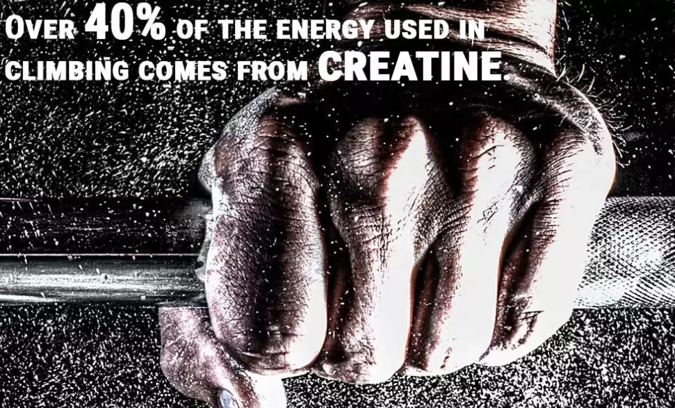 mountaineering nutrition